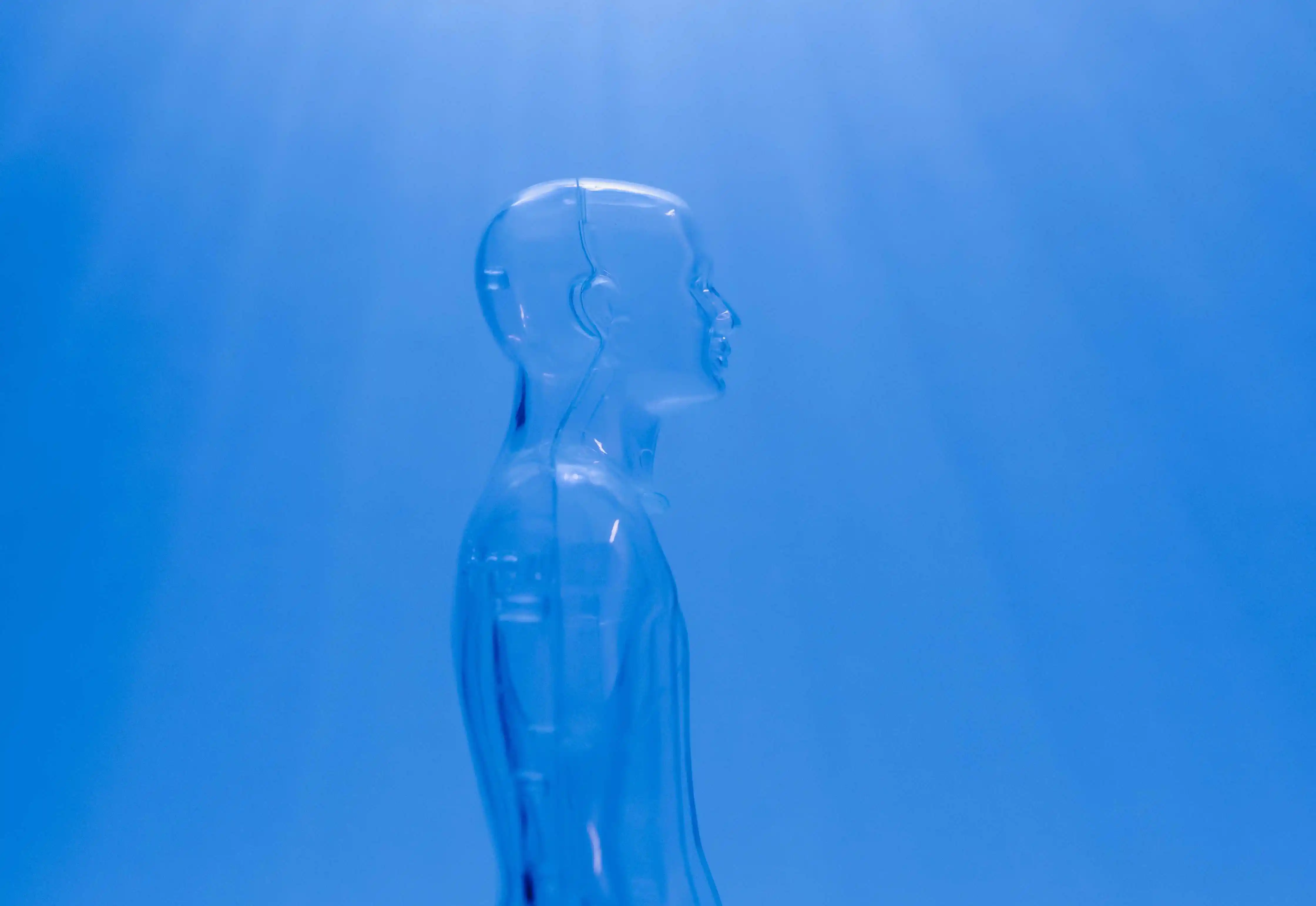 Profi a dezvoltat primul brand cu ajutorul inteligenței artificiale