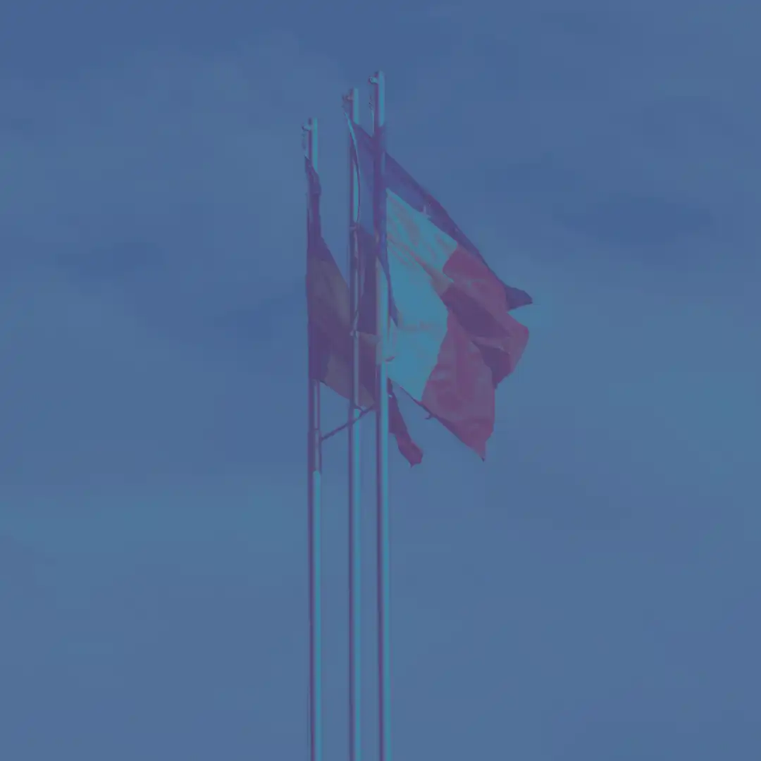 O româncă joacă un rol-cheie în digitalizarea UE: „Voi ști că funcționează când voi putea cumpăra în Franța, cu buletinul din Belgia, medicamentul prescris în România”